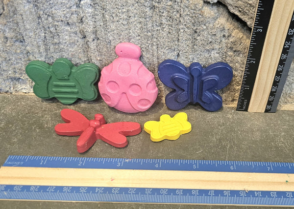 Bug Crayon Set of 5